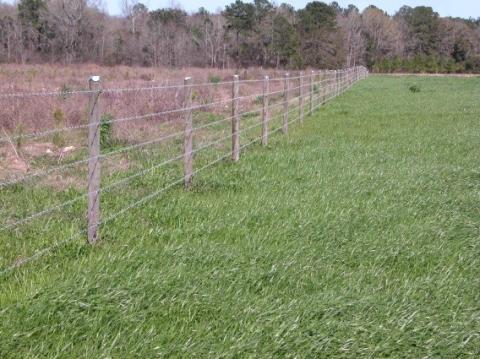 牧场围栏