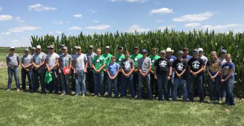 七支青少年队伍(如图所示)参加第六届年度农作物侦察比赛。前两名的队伍，科尔法克斯县4-H和科恩哈斯克儿童4-H俱乐部1号队，将代表内布拉斯加州参加8月26日在爱荷华州举行的地区项目。(图片来源:Brandy VanDeWalle