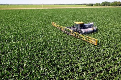 玉米田氮肥施用