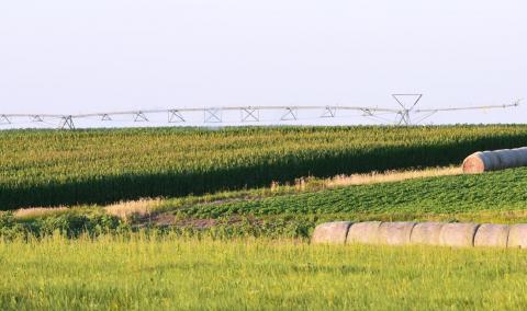 玉米、大豆田采用中心支点灌溉