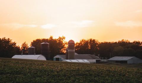 农场在日落时落山