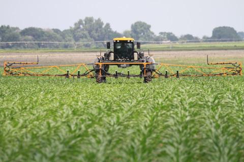 nitrogen fertilizer being applied to corn