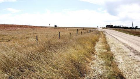 用篱笆围成一排的麦田