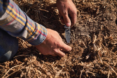农民examines soil in field