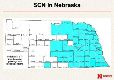 内布拉斯加州地图，显示大豆囊肿线虫已确认的县
