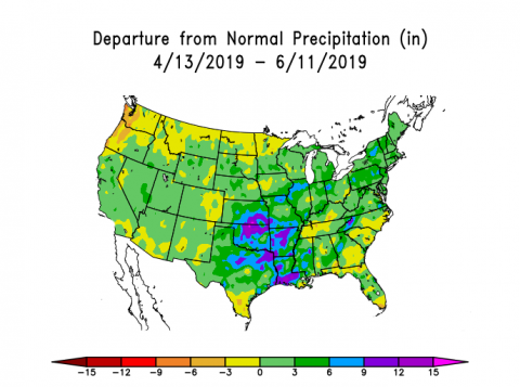 美国地图显示2019年4月13日至6月11日的降水量偏离正常