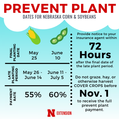 玉米和大豆预防种植的重要日期
