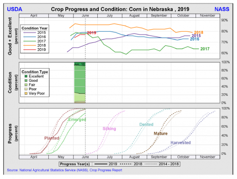 来自美国农业部国家农业统计局的玉米作物进展和情况，显示玉米生长期的预测时间(2019年)。