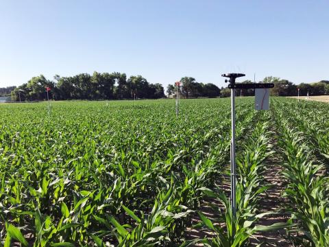 与内布拉斯加州大学的研究人员将使用Atable Mark IoT设备在内布拉斯加州农场领域纪录40个变量，作为改善数据农民使用的研究努力，以确定它们是否应该灌溉。