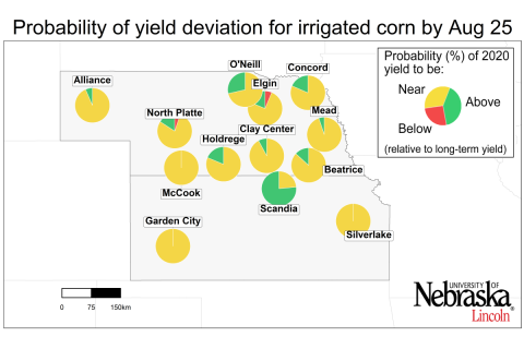 显示灌溉玉米产量偏差概率的图