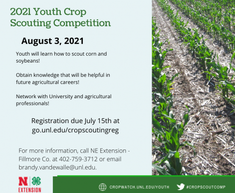 Youth Crop Scouting Competition flyer