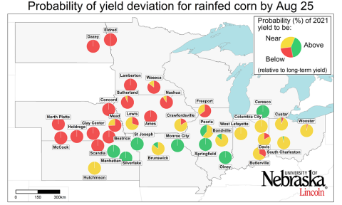 Corn yield forecast map